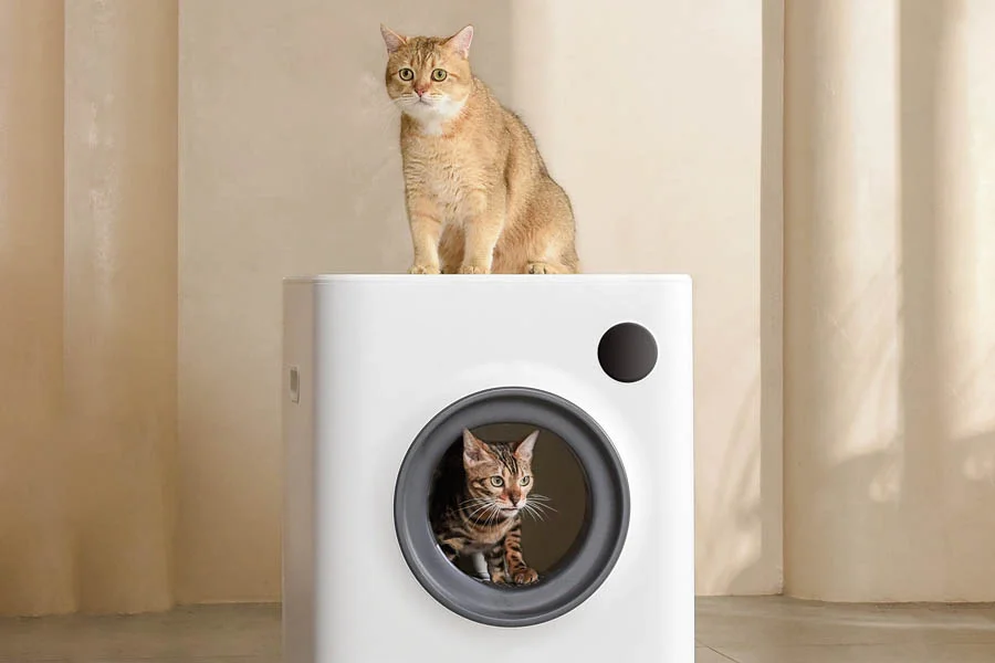 auto cat litter